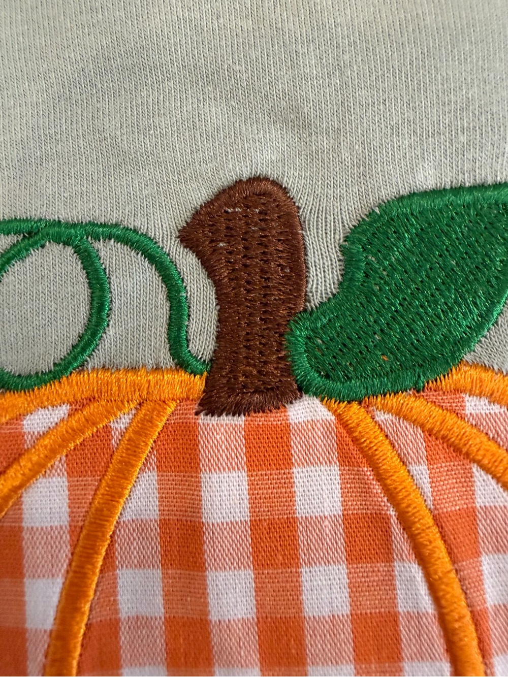 ๐ Pumpkin Applique Shorts Set in Sage Green & Orange Gingham NWT - Picture 5 of 6